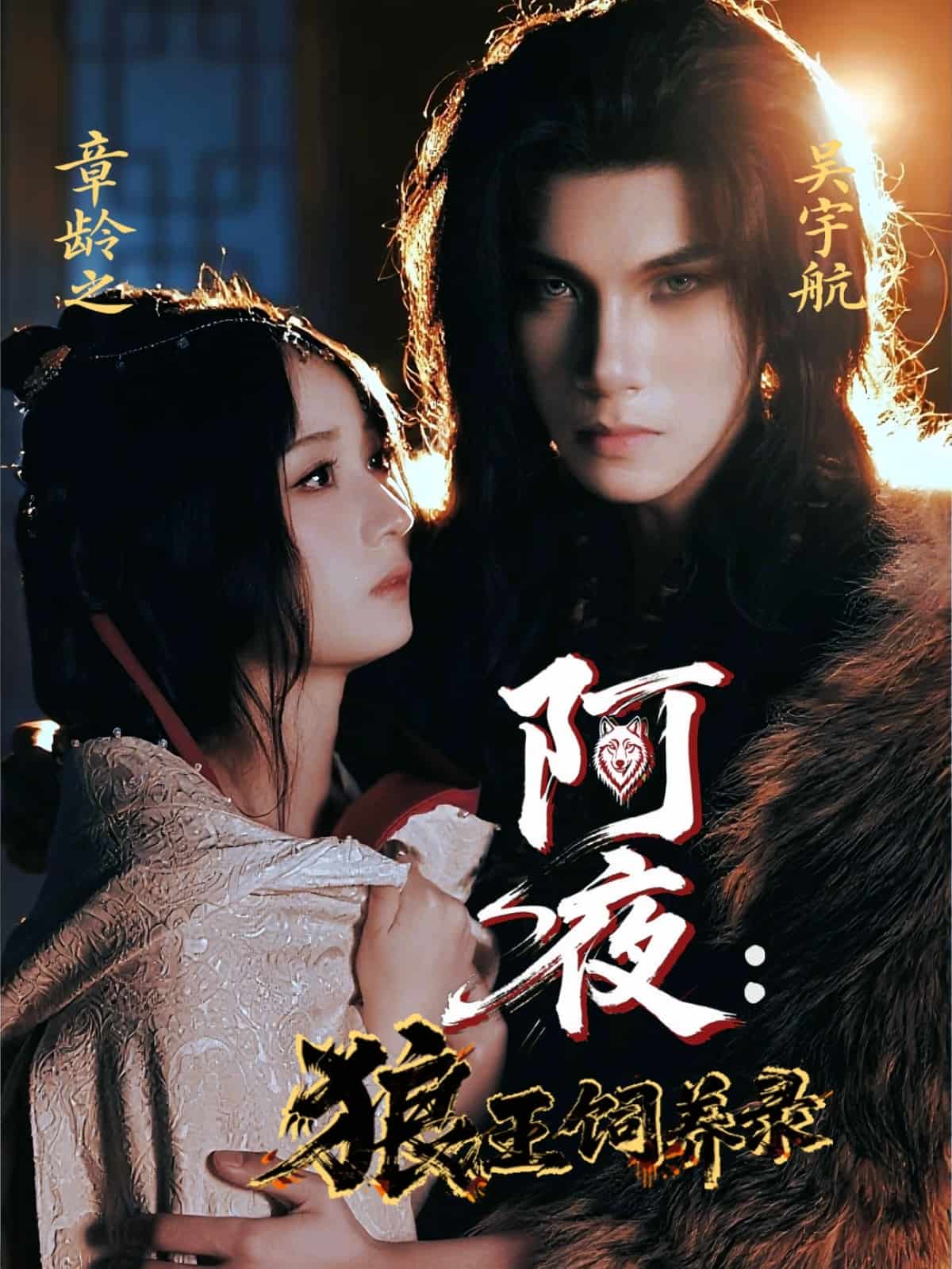 阿夜狼王饲养录