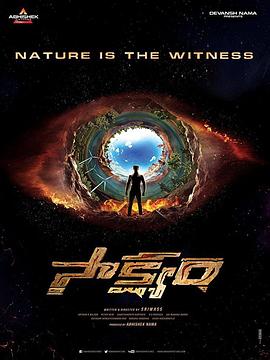 见证【影视解说】